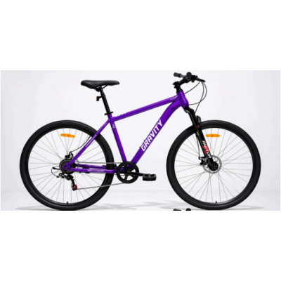 Bicicleta mtb Ghost 29" violeta y gris Gravity