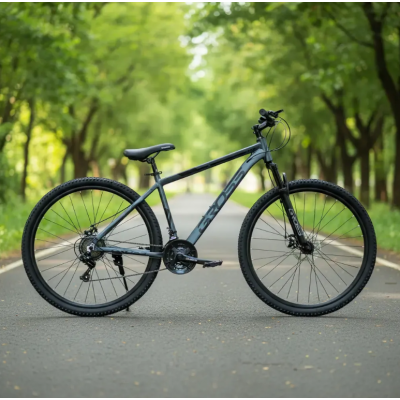 Bicicleta mtb 29" gris aluminio T18 21v Gross