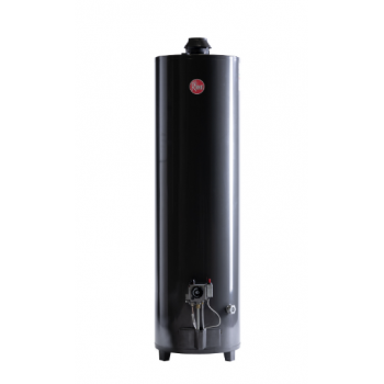 Termotanque 160 l/pie Rheem