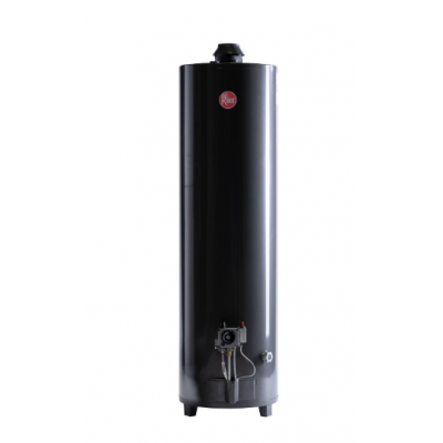 Termotanque 160 l/pie Rheem