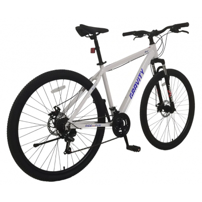 Bicicleta mtb Benz 29 gris y azul Gravity